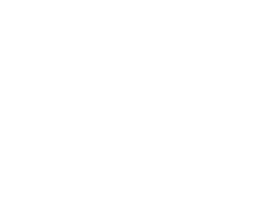 logo white